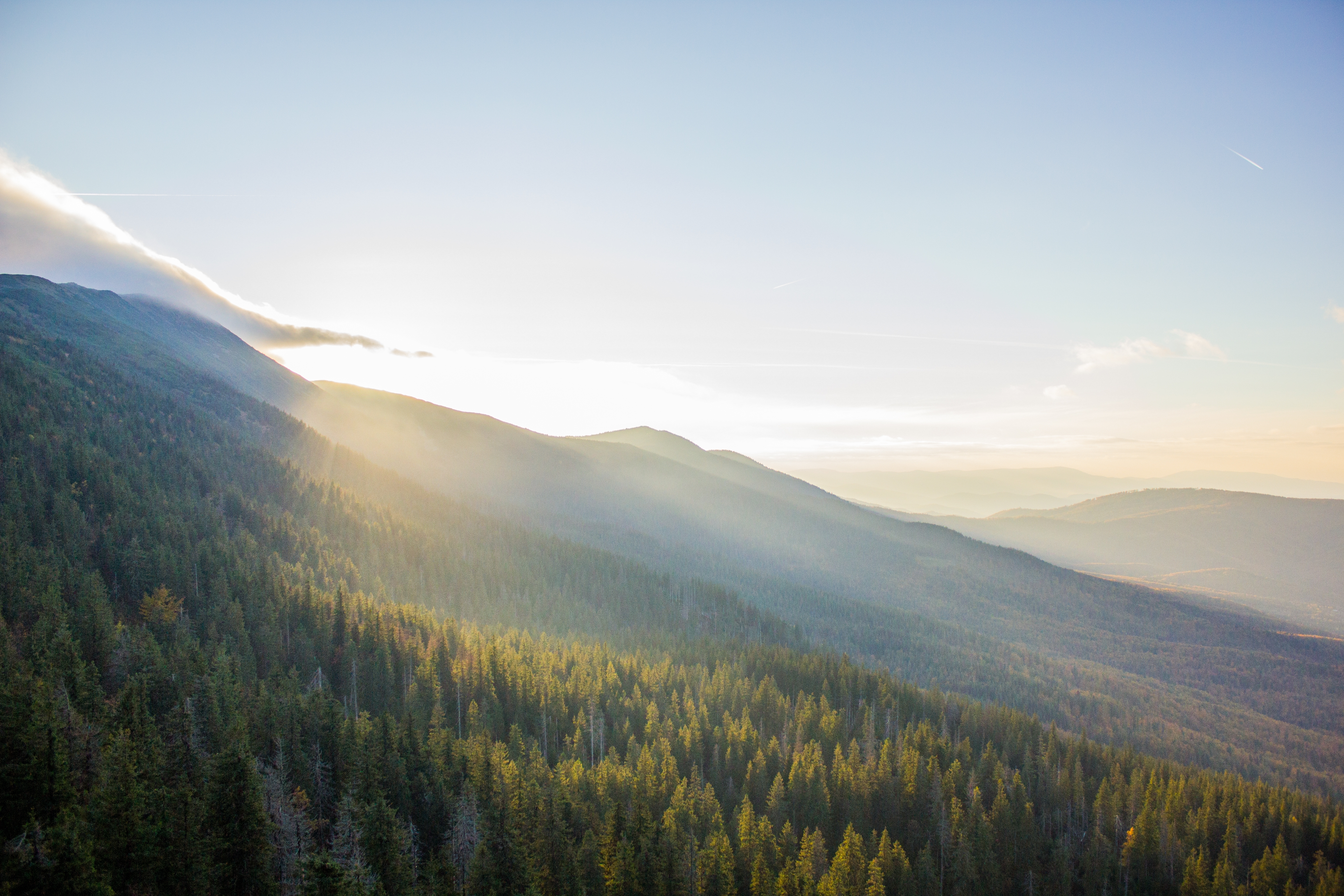 Shutterstock 2535646955