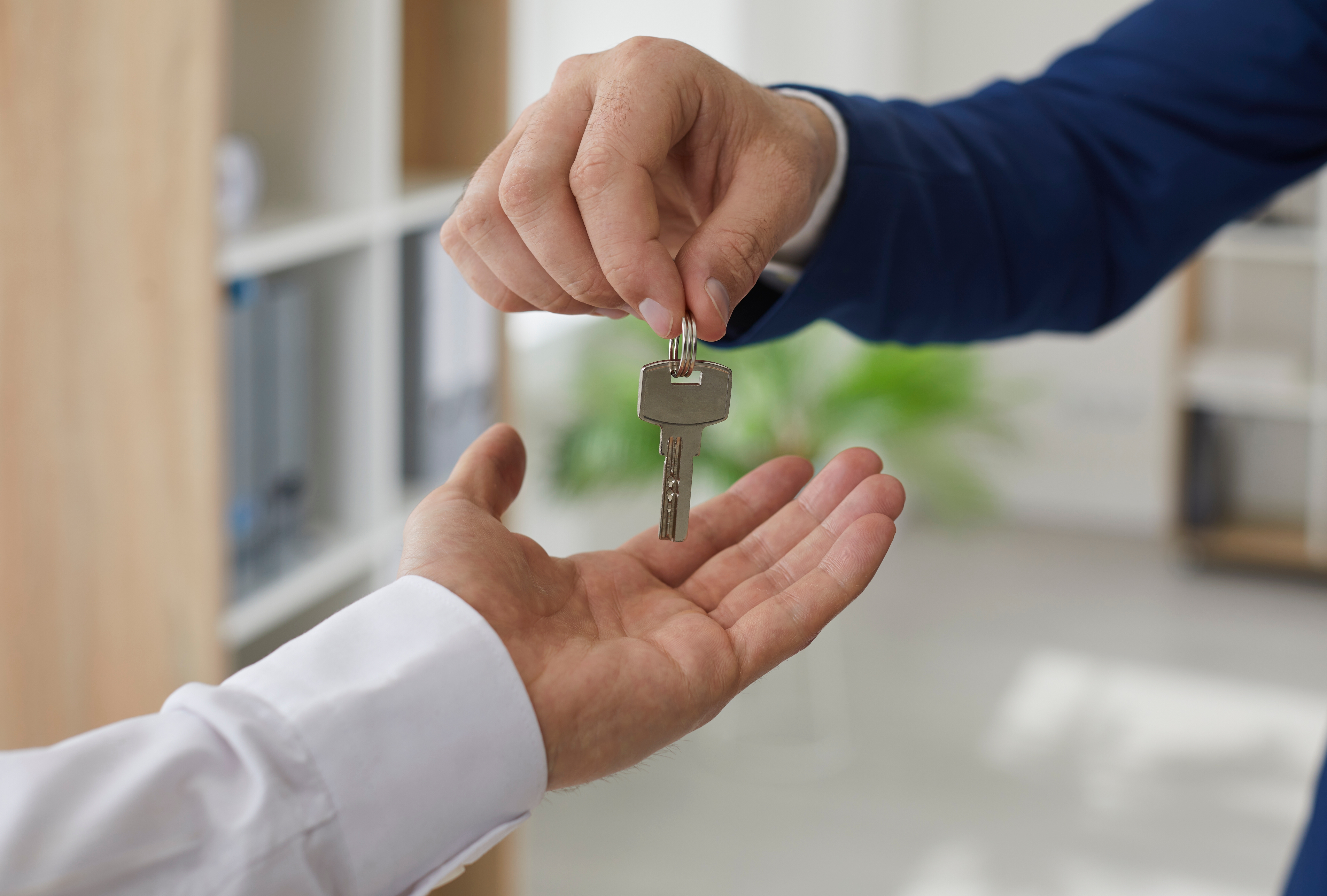 Shutterstock 2245924961